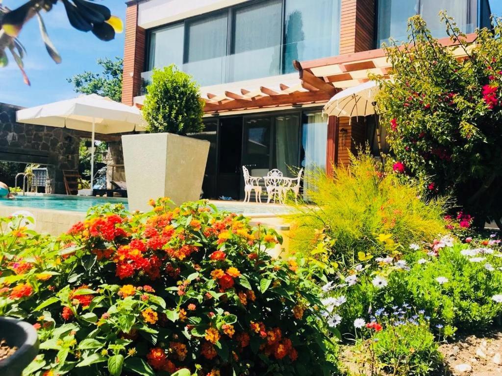 Villa No 5 Bodrum Exteriör bild