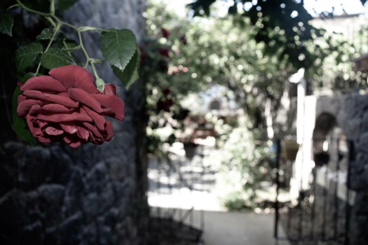 Villa No 5 Bodrum Exteriör bild
