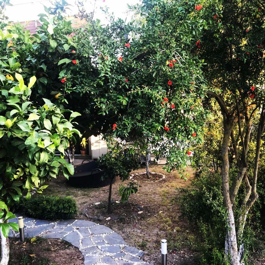Villa No 5 Bodrum Exteriör bild
